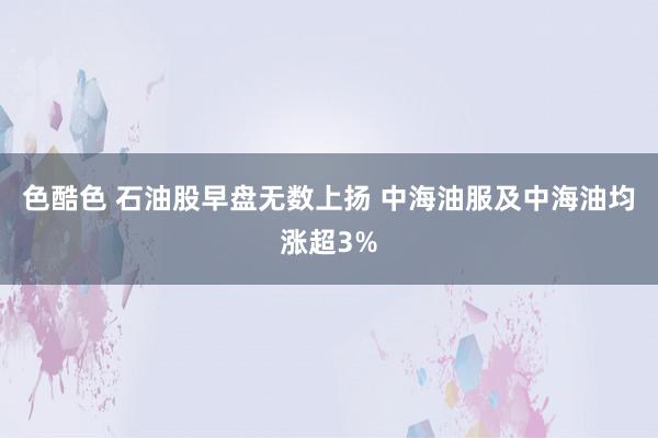 色酷色 石油股早盘无数上扬 中海油服及中海油均涨超3%
