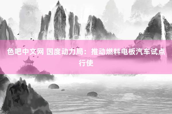 色吧中文网 国度动力局：推动燃料电板汽车试点行使