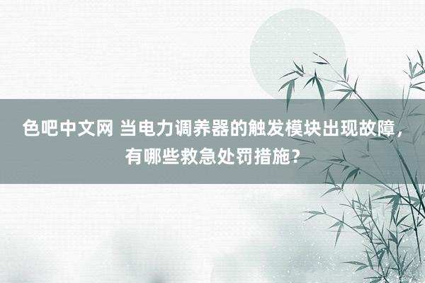 色吧中文网 当电力调养器的触发模块出现故障，有哪些救急处罚措施？