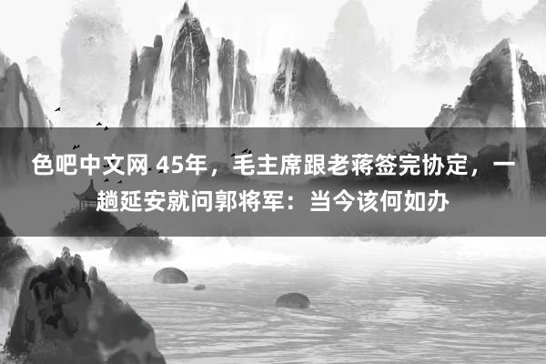 色吧中文网 45年，毛主席跟老蒋签完协定，一趟延安就问郭将军：当今该何如办