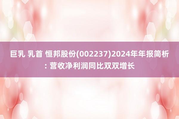 巨乳 乳首 恒邦股份(002237)2024年年报简析: 营收净利润同比双双增长