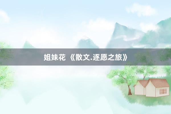 姐妹花 《散文.逐愿之旅》