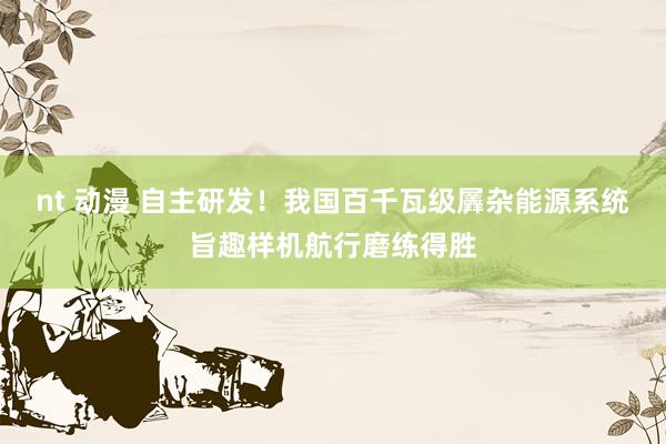 nt 动漫 自主研发！我国百千瓦级羼杂能源系统旨趣样机航行磨练得胜